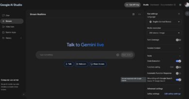 imagem inicial do google ai studio com so bovos recursos
