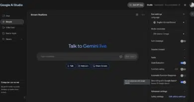 imagem inicial do google ai studio com so bovos recursos