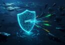 escudo de defesa na Internet com o escrito dns