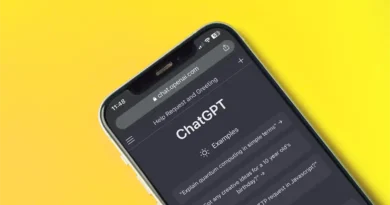 Gráfico do Digital News Report 2025 mostra liderança do ChatGPT sobre outros chatbots