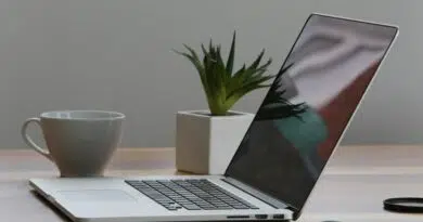 Mesa de escritório minimalista com laptop, smartphone e planta para um ambiente de trabalho moderno.