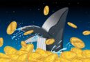 Bitcoin worth $8.6 billion moved for the first time since 2011, bought for just $210K