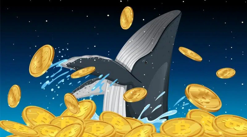 Bitcoin worth $8.6 billion moved for the first time since 2011, bought for just $210K