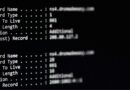 Exemplo visual de registros DNS utilizados em ataques sofisticados. Imagem: Reprodução/ArsTechnica