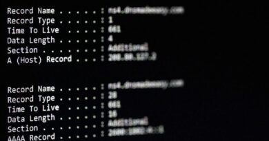 Exemplo visual de registros DNS utilizados em ataques sofisticados. Imagem: Reprodução/ArsTechnica