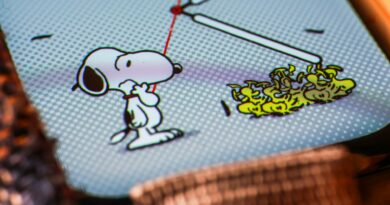 Imagem do Snoopy, Charlie Brown