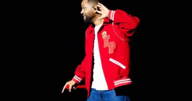 Will Smith vídeo IA: foto de show com multidão e luzes, gerando debate sobre autenticidade