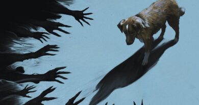 Bom Menino filme de terror visto pelo cachorro Indy, Paris Filmes