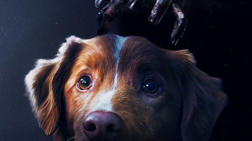Bom Menino: terror pela perspectiva do cachorro 3 Filme chega ao país distribuído pela Paris Filmes (Imagem: Divulgação/Paris Filmes)