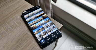 Tela do Immich no Android exibindo grade de fotos e opções de backup para servidor próprio