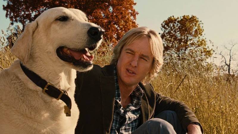 Filmes parecidos com Caramelo, da Netflix: 7 dicas 9 Filmes parecidos com Caramelo: Marley & Eu, família, Prime Video, comédia dramática com cães