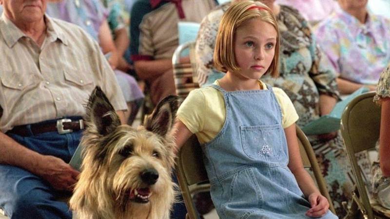 Filmes parecidos com Caramelo, da Netflix: 7 dicas 7 Filmes parecidos com Caramelo: Meu Melhor Amigo, Disney+, Winn-Dixie, amizade entre garota e cão