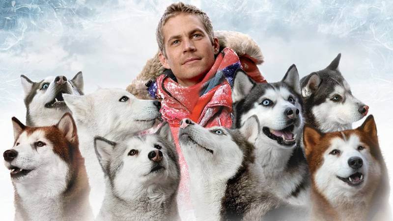 Filmes parecidos com Caramelo, da Netflix: 7 dicas 8 Filmes parecidos com Caramelo: Resgate Abaixo de Zero, cães de trenó na Antártida, aventura Disney+