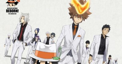 Visual do 20º Aniversário de Katekyo Hitman Reborn com Reborn, Tsunayoshi e Vongola Family