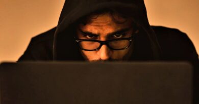 Os golpes pós-Black Friday exploram falhas em sistemas de devolução e reembolso (Imagem: Pexels/Sora Shimazaki)