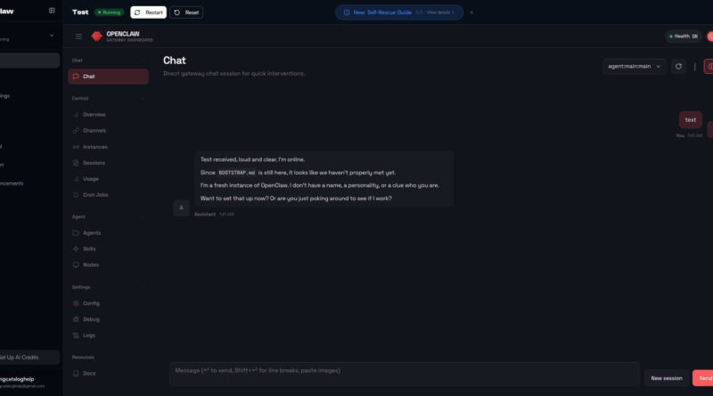 Interface do painel MyClaw mostrando o agente OpenClaw em execução contínua
