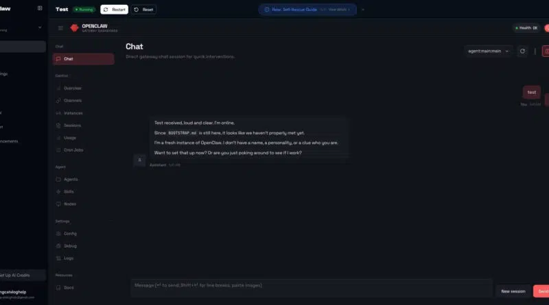 Interface do painel MyClaw mostrando o agente OpenClaw em execução contínua